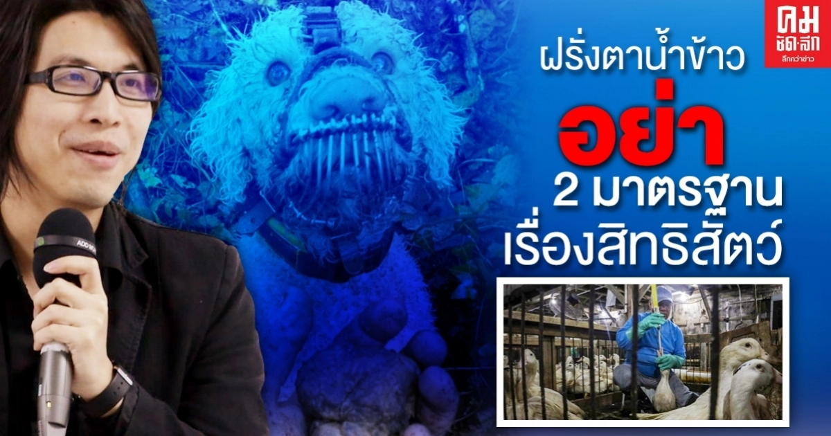 "กิตติธัช" ซัดฝรั่งตาน้ำข้าว Peta  2 มาตรฐานสิทธิสัตว์