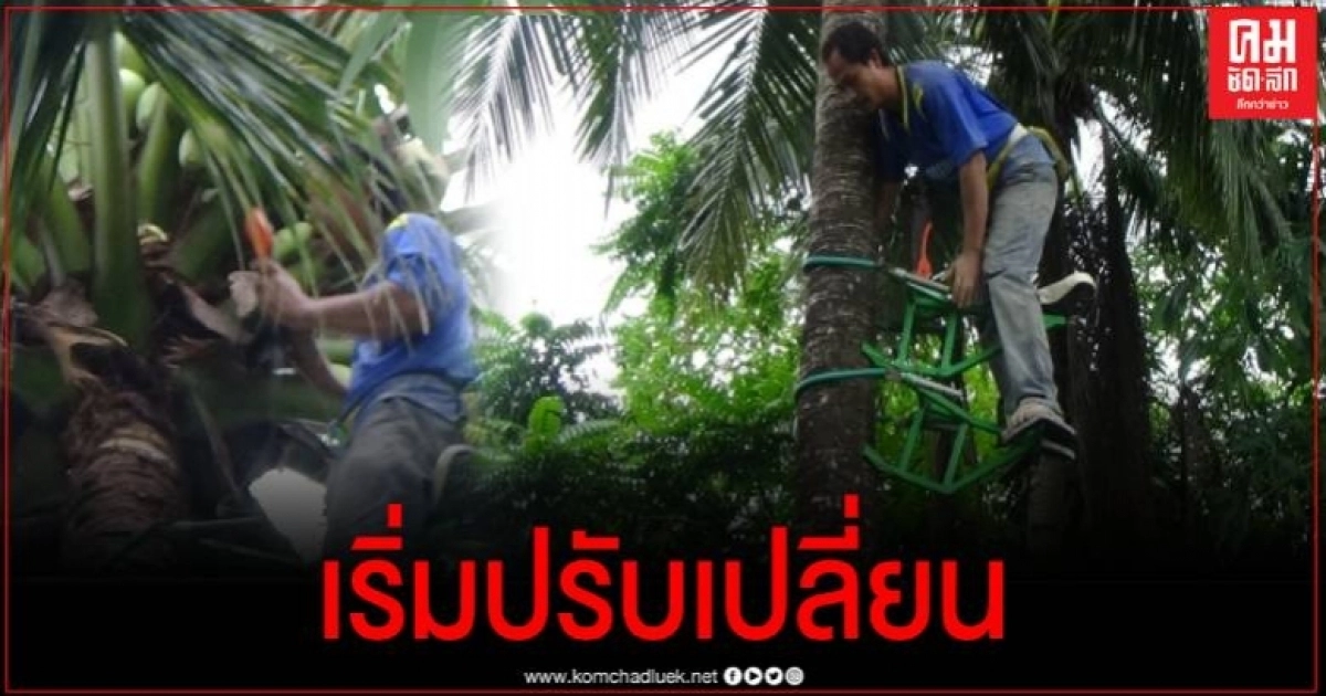 ตรัง ปรับใช้เครื่องจักรแทนลิง ย้ำไม่เห็นด้วยการคำว่า "การทารุณสัตว์" เพราะเลี้ยงเหมือนลูก ตรัง ปรับใช้เครื่องจักรแทนลิง ย้ำไม่เห็นด้วยการคำว่า "การทารุณสัตว์" เพราะเลี้ยงเหมือนลูก