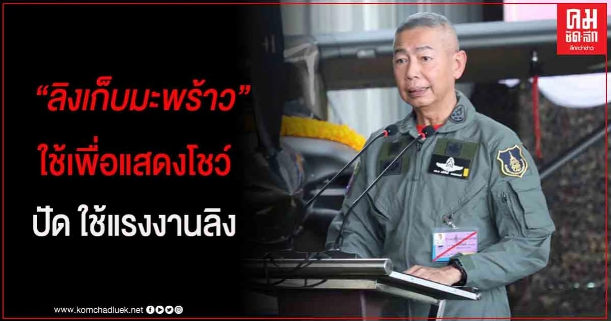 ผบ.ทบ. แจง ลิงเก็บมะพร้าวไทย ใช้เพื่อแสดงโชว์ เพื่อการท่องเที่ยว ปัด ใช้แรงงานลิง ผบ.ทบ. แจง ลิงเก็บมะพร้าวไทย ใช้เพื่อแสดงโชว์ เพื่อการท่องเที่ยว ปัด ใช้แรงงานลิง