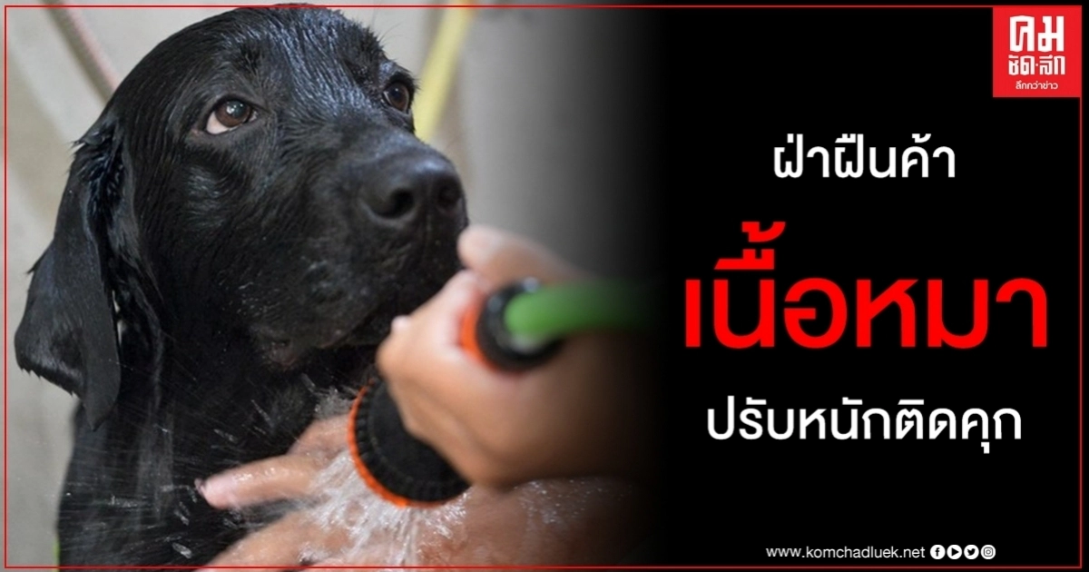 เสียมราฐ ห้ามค้าเนื้อสุนัข ฝ่าฝืนปรับหนักเกือบ 4 แสนบาท แถมเสี่ยงติดคุก 5 ปี เสียมราฐ ห้ามค้าเนื้อสุนัข ฝ่าฝืนปรับหนักเกือบ 4 แสนบาท แถมเสี่ยงติดคุก 5 ปี