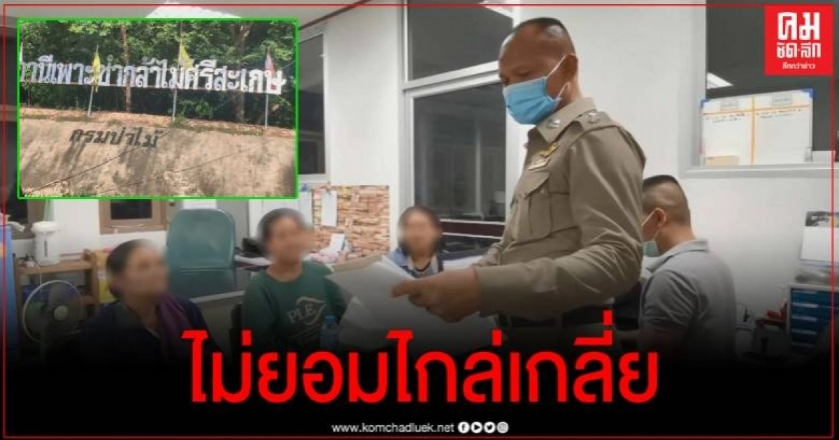 แจ้งจับชาวบ้านเก็บเห็ดในป่า ตร.ไกล่เกลี่ยไม่เป็นผล หน.สถานีเพาะชำฯ ย้ำต้องยึดกฎหมาย