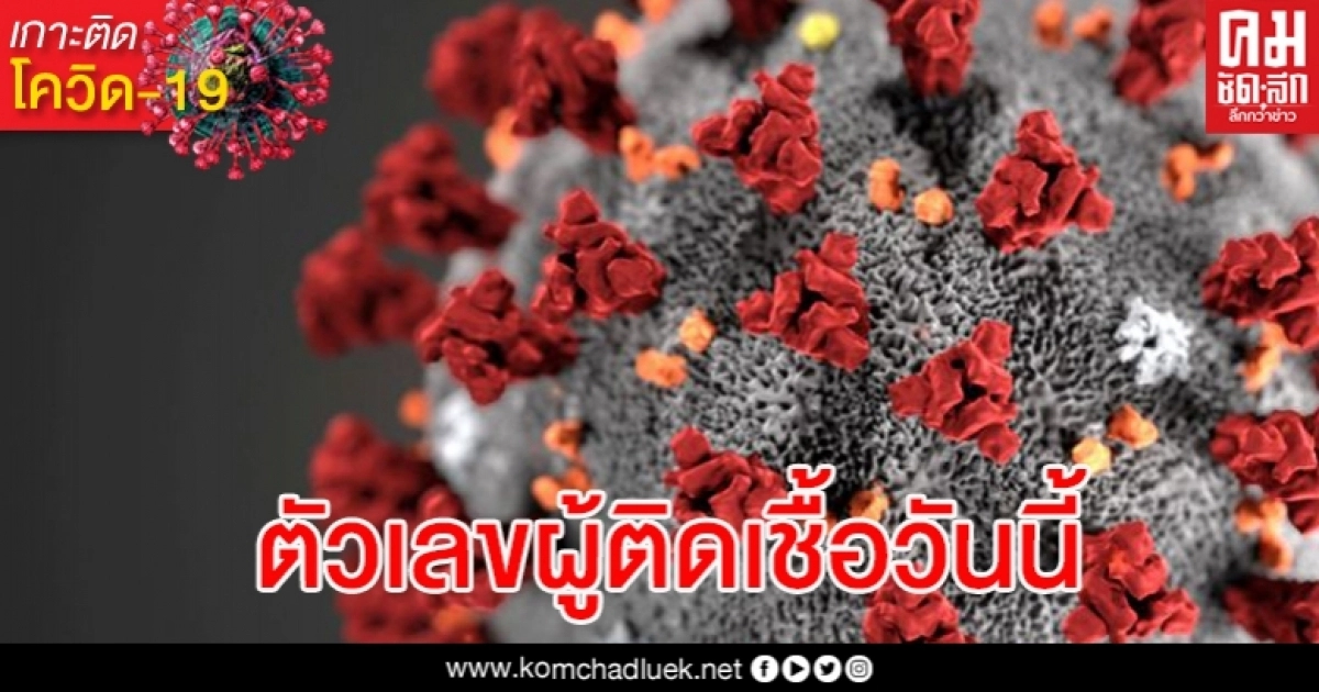 ด่วน ตัวเลขผู้ติดเชื้อโควิด-19 วันนี้พุ่ง 14 ราย ด่วน ตัวเลขผู้ติดเชื้อโควิด-19 วันนี้พุ่ง 14 ราย