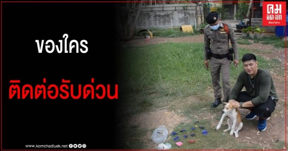 ไปคาบมาจากไหน ของใครติดต่อรับด่วน ยาเสพติดกว่า 4 พันเม็ด