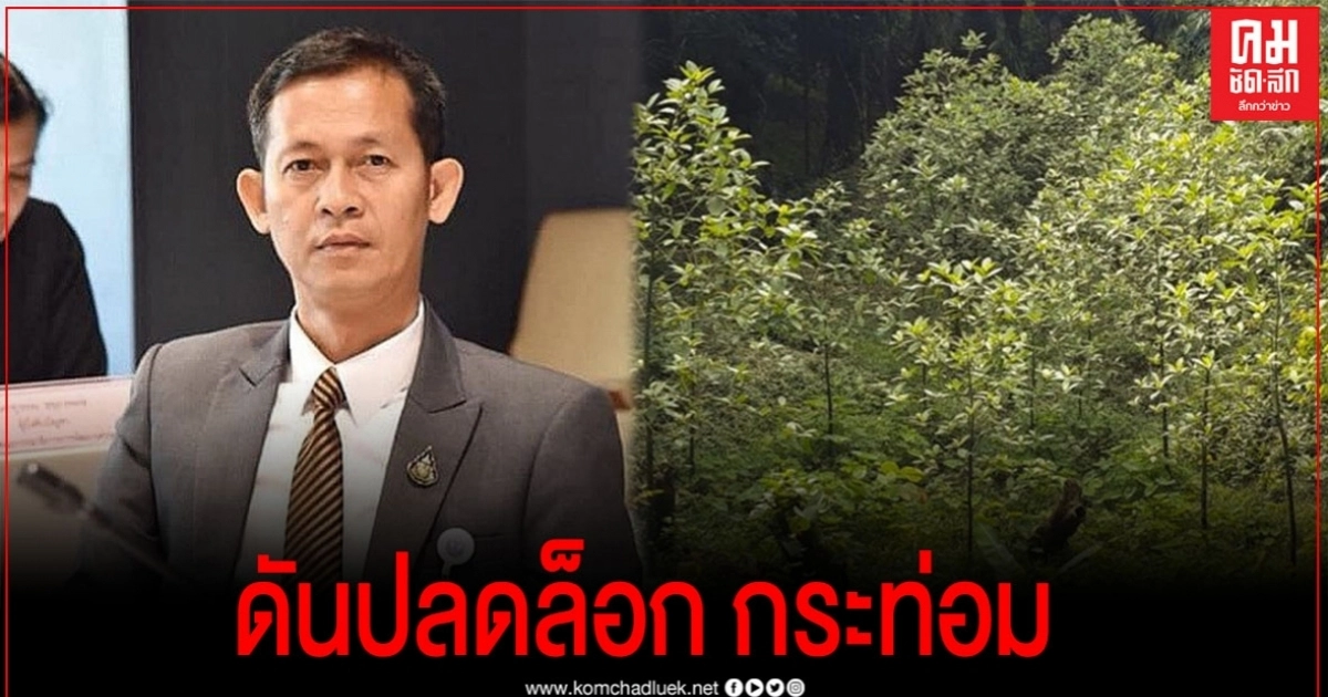"สัณหพจน์" เผย "สมศักดิ์" ดัน ปลดล็อกพืชกระท่อม ช่วยเกษตรกรมีรายได้ "สัณหพจน์" เผย "สมศักดิ์" ดัน ปลดล็อกพืชกระท่อม ช่วยเกษตรกรมีรายได้