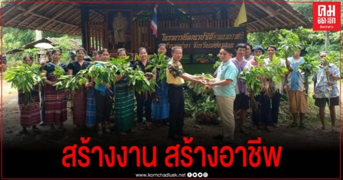 โครงการพัฒนาป่าไม้ตามแนวพระราชดำริบ้านทุ่งป่าคา ส่งเสริมชาวบ้านปลูกบุก