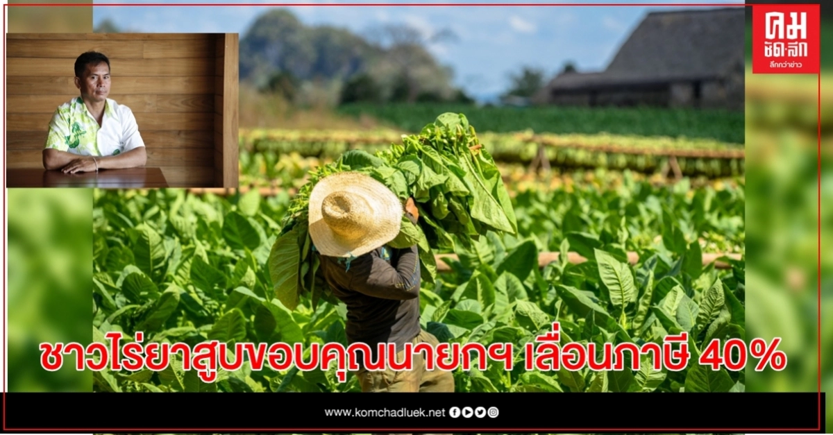 ชาวไร่ยาสูบขอบคุณนายกฯ เลื่อนภาษี 40% ให้อีก 1 ปี ชาวไร่ยาสูบขอบคุณนายกฯ เลื่อนภาษี 40% ให้อีก 1 ปี