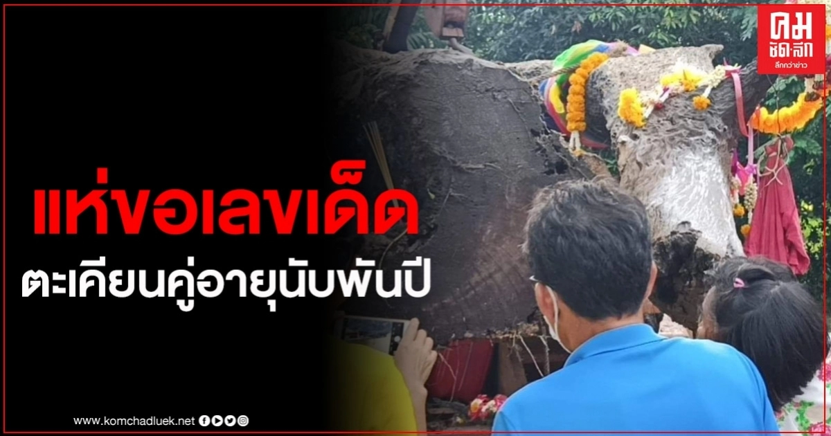 ฮือฮาพบไม้ตะเคียนคู่อายุนับพันปีจมใต้น้ำ แห่ส่องหวยโค้งสุดท้าย ฮือฮาพบไม้ตะเคียนคู่อายุนับพันปีจมใต้น้ำ แห่ส่องหวยโค้งสุดท้าย