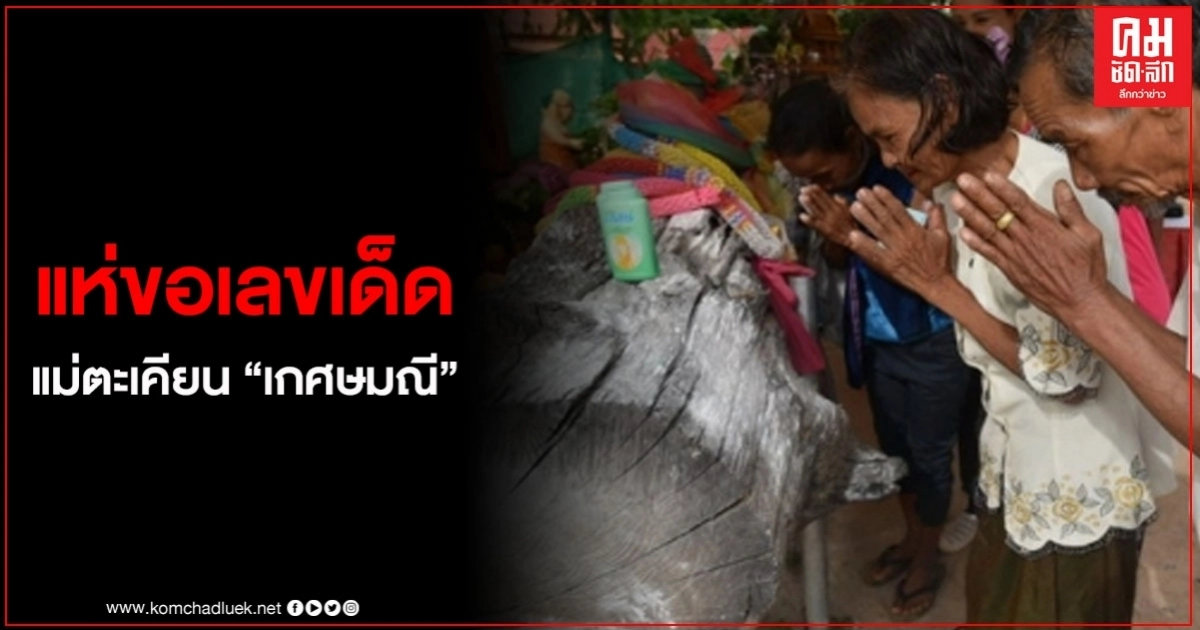 ชาวบ้านแห่ส่องเลขเด็ด หวังได้โชคลาภ เร่งทาแป้งขอหวยแม่ตะเคียน เกศษมณี ชาวบ้านแห่ส่องเลขเด็ด หวังได้โชคลาภ เร่งทาแป้งขอหวยแม่ตะเคียน เกศษมณี