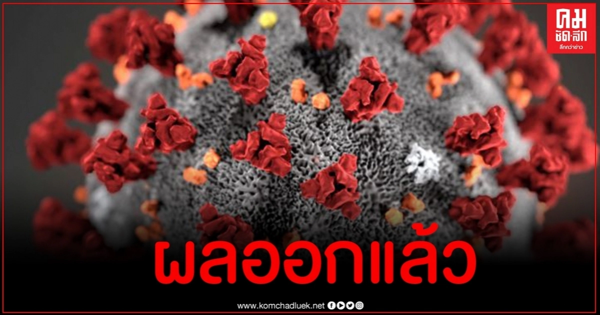 ผลตรวจโควิด 5 รายที่พิษณุโลก หลังพักโรงแรมเดียวกับทหารอียิปต์