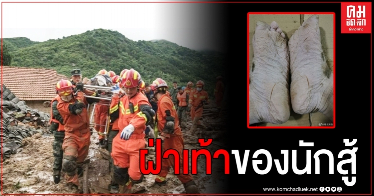 ภาพไวรัลที่ถูกแชร์จำนวนมาก กับฝ่าเท้าของนักสู้ ค้นห้าผู้รอดจากเหตุดินถล่ม ไม่พัก 30 ชั่วโมง ภาพไวรัลที่ถูกแชร์จำนวนมาก กับฝ่าเท้าของนักสู้ ค้นห้าผู้รอดจากเหตุดินถล่ม ไม่พัก 30 ชั่วโมง