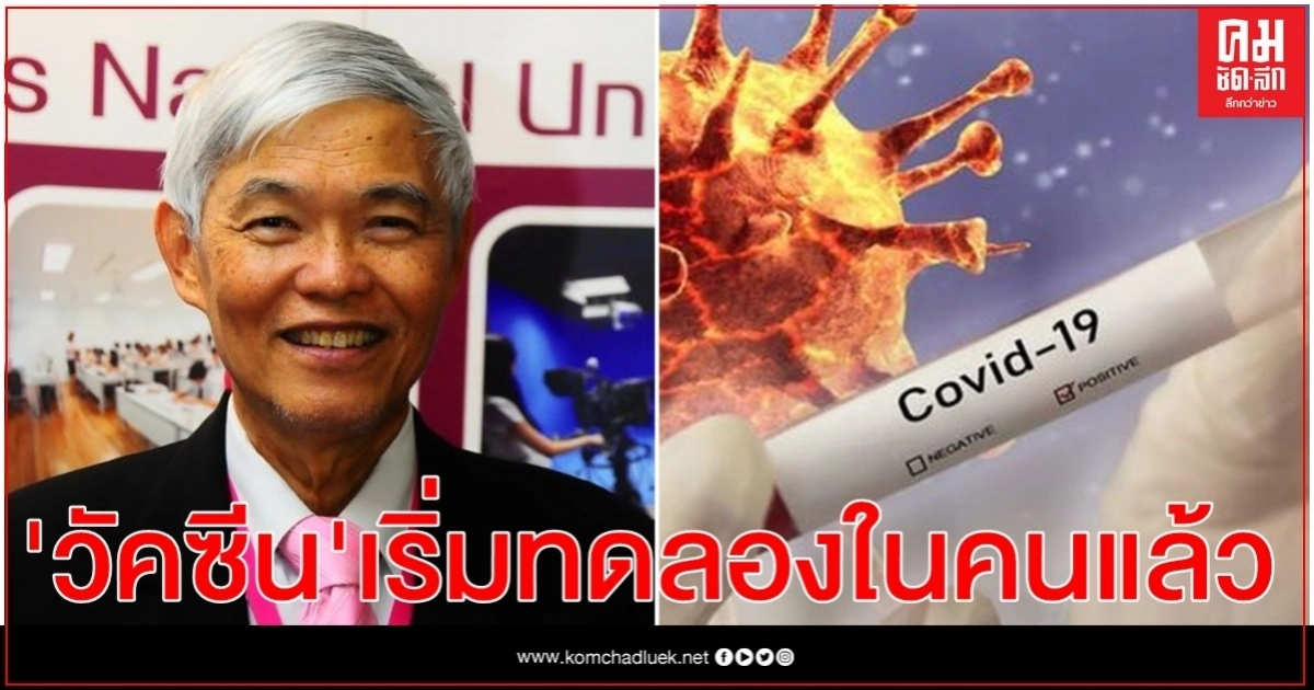 ข่าวดี 'หมอยง' เผย วัคซีน 'โควิด-19' เริ่มทดลองในมนุษย์แล้ว 23 ชนิด ข่าวดี 'หมอยง' เผย วัคซีน 'โควิด-19' เริ่มทดลองในมนุษย์แล้ว 23 ชนิด