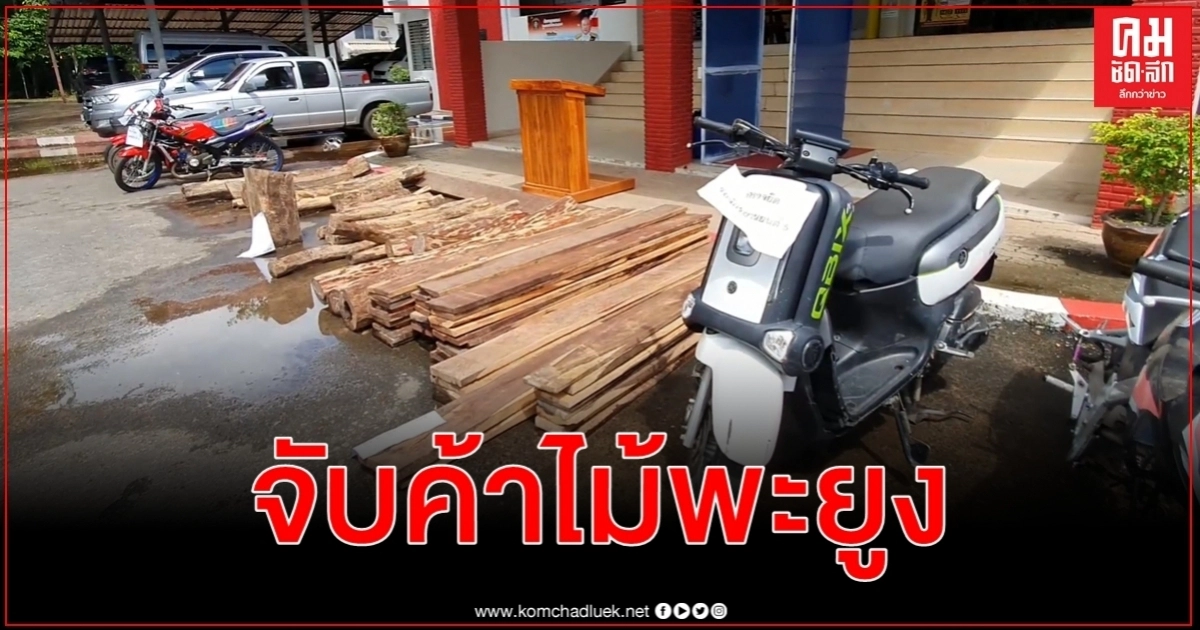 ตำรวจจับสองผัวเมียตัวการใหญ่แก๊งค้าไม้พะยูงยึดกระบะ 2 จยย. 4 คัน ตำรวจจับสองผัวเมียตัวการใหญ่แก๊งค้าไม้พะยูงยึดกระบะ 2 จยย. 4 คัน