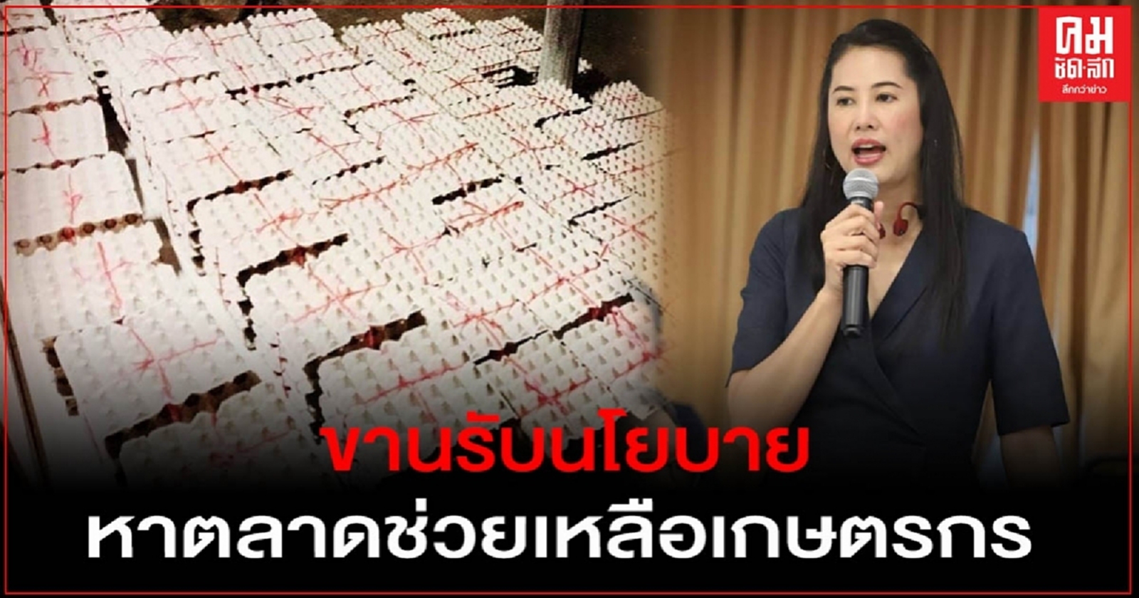 "เอ๋ ปารีณา"ขานรับนโยบาย "บิ๊กป้อม" หาตลาดช่วยเหลือเกษตรกร