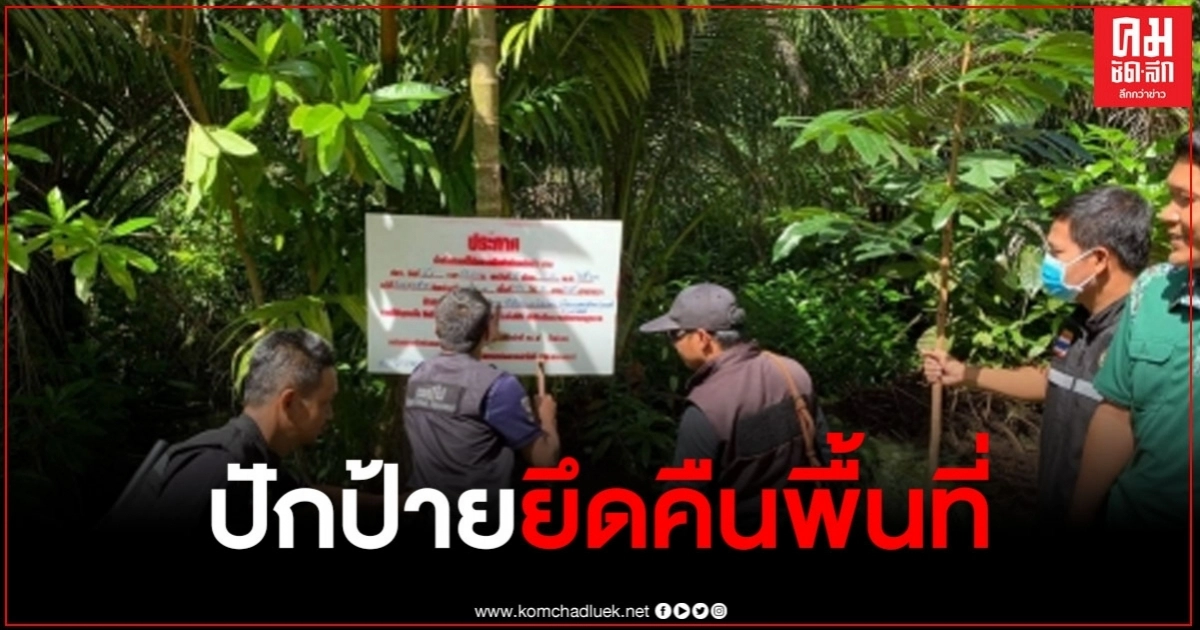 ป่าไม้กระบี่ เข้าปักป้ายยึดคืนพื้นที่ป่าพรุ ป่าต้นน้ำ หลังพบนายทุนบุกรุก