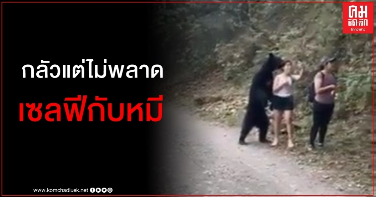 โซเชียลทึ่งในความนิ่ง หญิงเม็กซิโกถ่ายเซลฟีกับหมีขณะเจอแบบใกล้ชิด โซเชียลทึ่งในความนิ่ง หญิงเม็กซิโกถ่ายเซลฟีกับหมีขณะเจอแบบใกล้ชิด