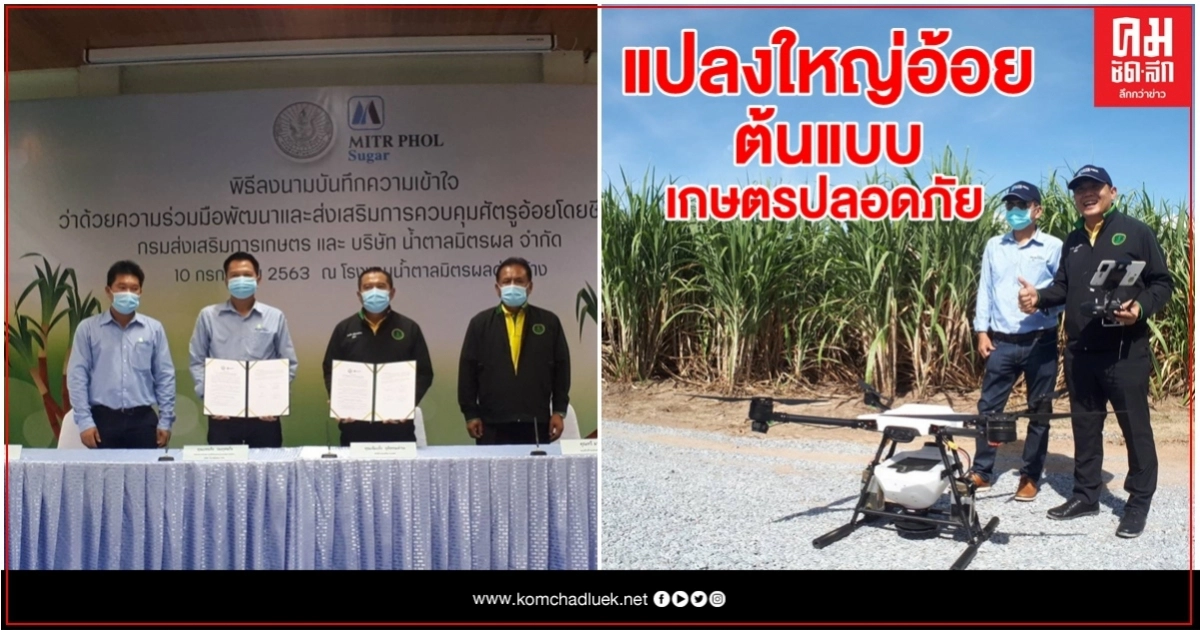กสก.จับมือมิตรผล ชูแปลงใหญ่อ้อยต้นแบบเกษตรปลอดภัย กสก.จับมือมิตรผล ชูแปลงใหญ่อ้อยต้นแบบเกษตรปลอดภัย