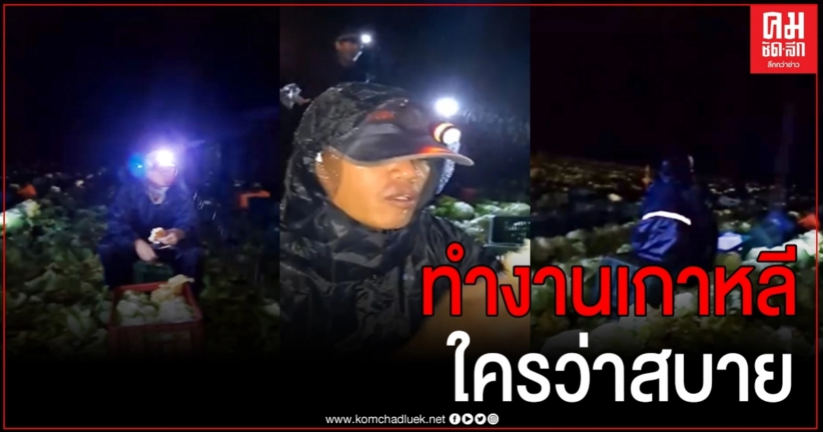 หนุ่มแรงงานเกาหลี เผยคลิปทำงานหนัก ทนแดด ทนฝน ใครว่างานที่เกาหลีสบาย ไม่มี หนุ่มแรงงานเกาหลี เผยคลิปทำงานหนัก ทนแดด ทนฝน ใครว่างานที่เกาหลีสบาย ไม่มี