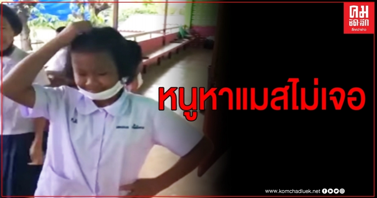 คลิปฮาลั่น เมื่อครูถามหาแมสกับนักเรียน แมสเธออยู่ไหน หาดูให้ดีดี คลิปฮาลั่น เมื่อครูถามหาแมสกับนักเรียน แมสเธออยู่ไหน หาดูให้ดีดี