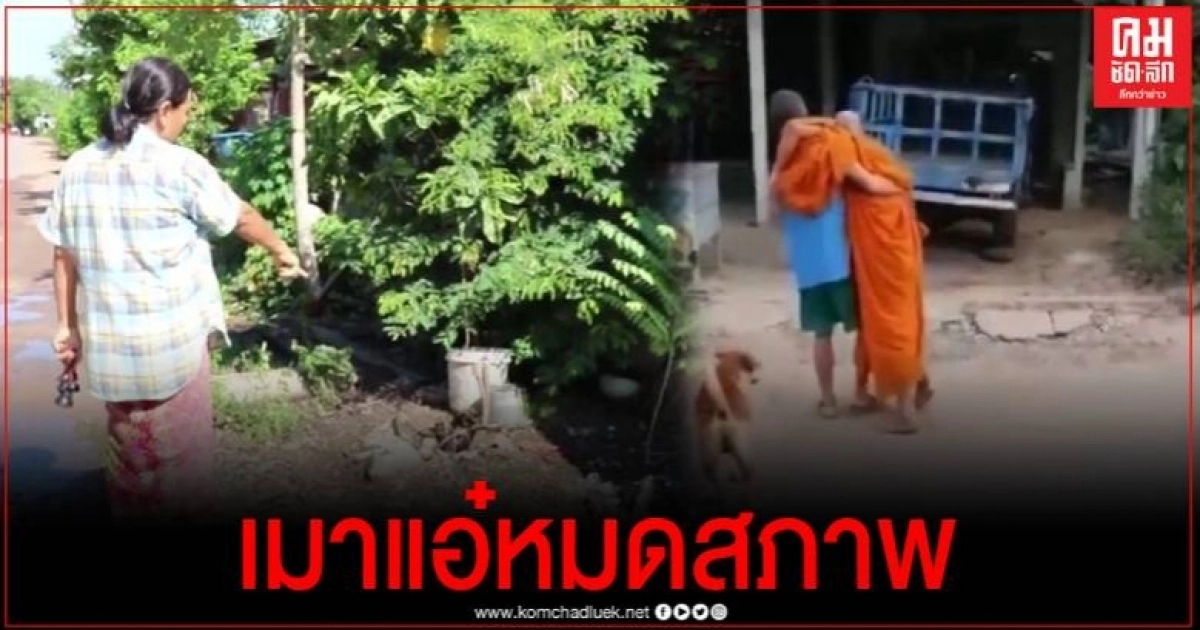 ชาวบ้านเผยนาทีระทึก พระเมาขับรถพุ่งชนรั้ว คิดว่าน็อคเบาหวาน กลับพบขวดเหล้า ชาวบ้านเผยนาทีระทึก พระเมาขับรถพุ่งชนรั้ว คิดว่าน็อคเบาหวาน กลับพบขวดเหล้า
