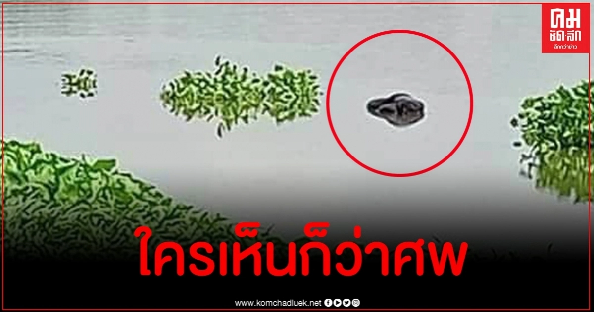 กู้ภัยรับแจ้งพบศพลอยน้ำ รุดตรวจสอบกลับกลายเป็นเรื่องสุดหักมุม