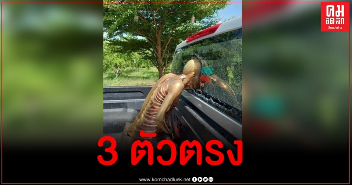ฮือฮา รูปปั้นหลวงปู่ทวดทะลุเข้ารถก่อนได้เลขเด็ด 3 ตัวตรง ฮือฮา รูปปั้นหลวงปู่ทวดทะลุเข้ารถก่อนได้เลขเด็ด 3 ตัวตรง