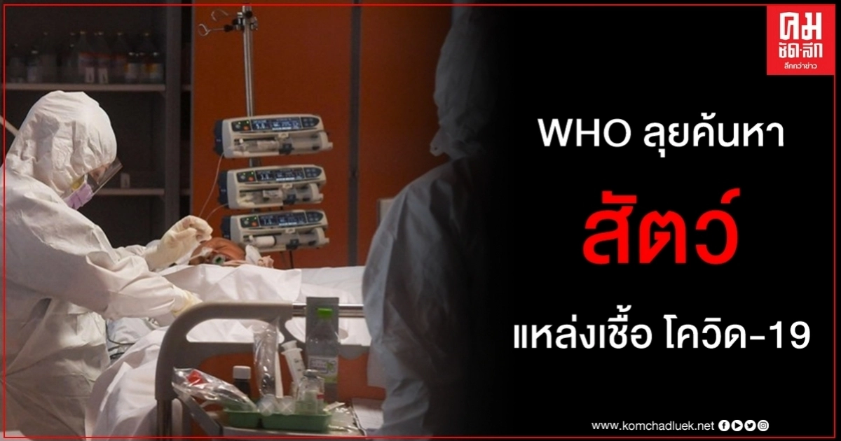 WHO เดินหน้าภารกิจ โควิด-19 ระดับนานาชาติค้นหาแหล่งโรคติดเชื้อจากสัตว์มาสู่คน WHO เดินหน้าภารกิจ โควิด-19 ระดับนานาชาติค้นหาแหล่งโรคติดเชื้อจากสัตว์มาสู่คน