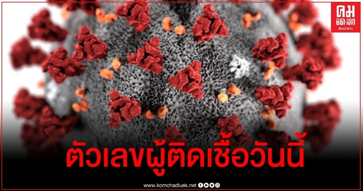 ด่วน ตัวเลขผู้ติดเชื้อโควิด-19 วันนี้เพิ่มขึ้น 3 ราย ด่วน ตัวเลขผู้ติดเชื้อโควิด-19 วันนี้เพิ่มขึ้น 3 ราย