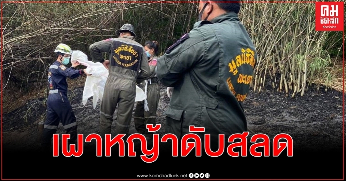 เฒ่าเผาหญ้าดับสลดไฟไหม้ลุกลามคุมไม่ได้สำลักควันหมดสติถูกคลอก เฒ่าเผาหญ้าดับสลดไฟไหม้ลุกลามคุมไม่ได้สำลักควันหมดสติถูกคลอก