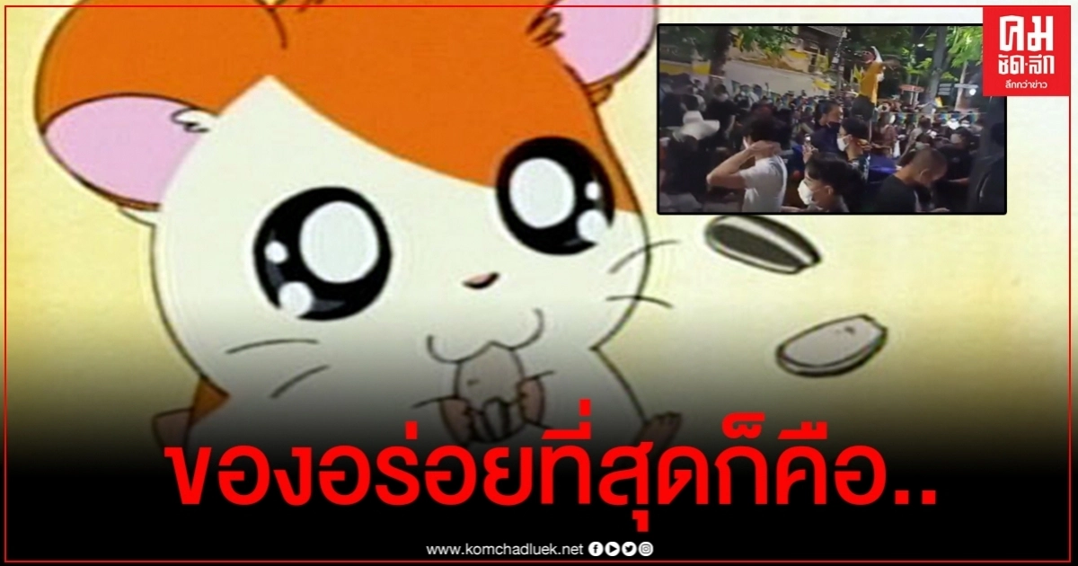 เพจดังร้องอ๋อ ทำไมแฟลชม็อบ นร.-นศ ถึงร้องเพลงแฮมทาโร่ เพจดังร้องอ๋อ ทำไมแฟลชม็อบ นร.-นศ ถึงร้องเพลงแฮมทาโร่