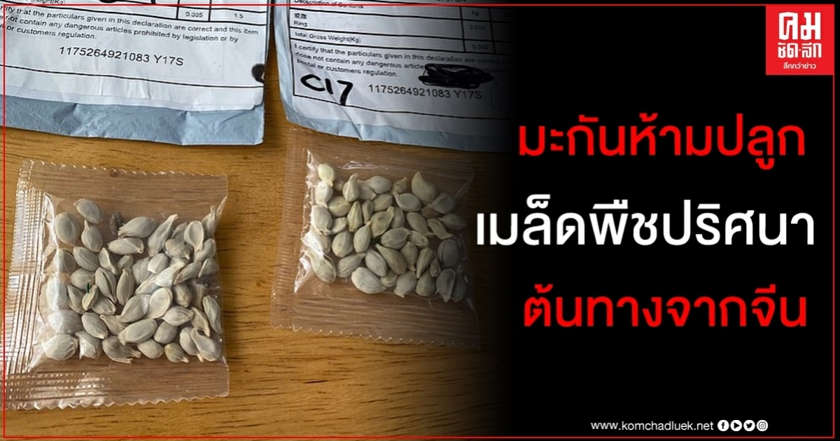 ชาวอเมริกันในอย่างน้อย 6 รัฐ ได้รับเมล็ดพืชปริศนาจากจีนแต่ติดฉลากเป็นเครื่องประดับ ชาวอเมริกันในอย่างน้อย 6 รัฐ ได้รับเมล็ดพืชปริศนาจากจีนแต่ติดฉลากเป็นเครื่องประดับ