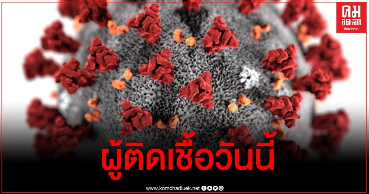 ด่วน ไทยพบผู้ติดเชื้อโควิดเพิ่ม 2 ราย ด่วน ไทยพบผู้ติดเชื้อโควิดเพิ่ม 2 ราย