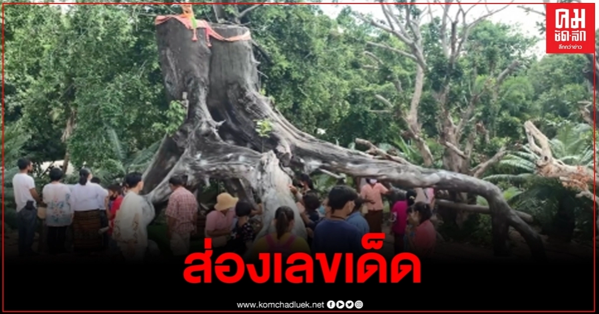 ส่องเลขเจ้าแม่ตะเคียน ถ้ำวังพญานาคาธิบดี