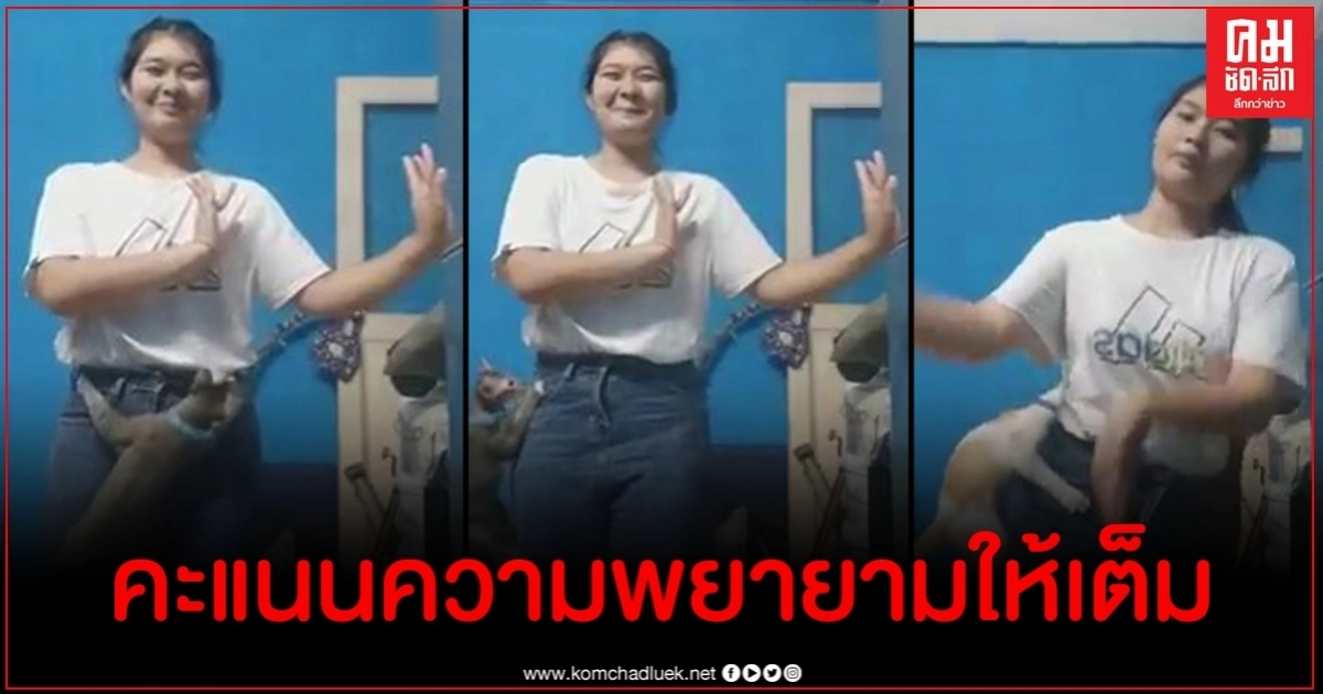 สุดฮา เมื่อนักเรียนจะอัดคลิปส่งงานครูแต่ดันเจอเจ้าเหมียวก่อกวน สุดฮา เมื่อนักเรียนจะอัดคลิปส่งงานครูแต่ดันเจอเจ้าเหมียวก่อกวน