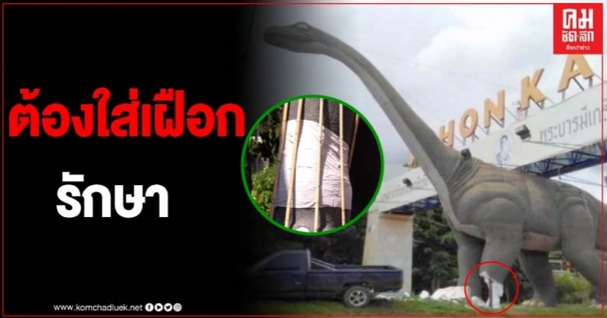 แชร์สนั่นโซเชียล ไดโนเสาร์ขอนแก่นถูกรถชนขาหัก จนต้องใส่เฝือกรักษา