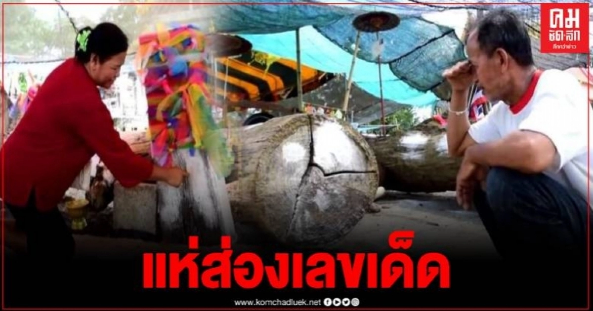 คึกคักปชช. แห่ส่องเลขเด็ดต้นตะเคียนไม่ขาด คอหวยเฮเห็นเลขชัด คึกคักปชช. แห่ส่องเลขเด็ดต้นตะเคียนไม่ขาด คอหวยเฮเห็นเลขชัด