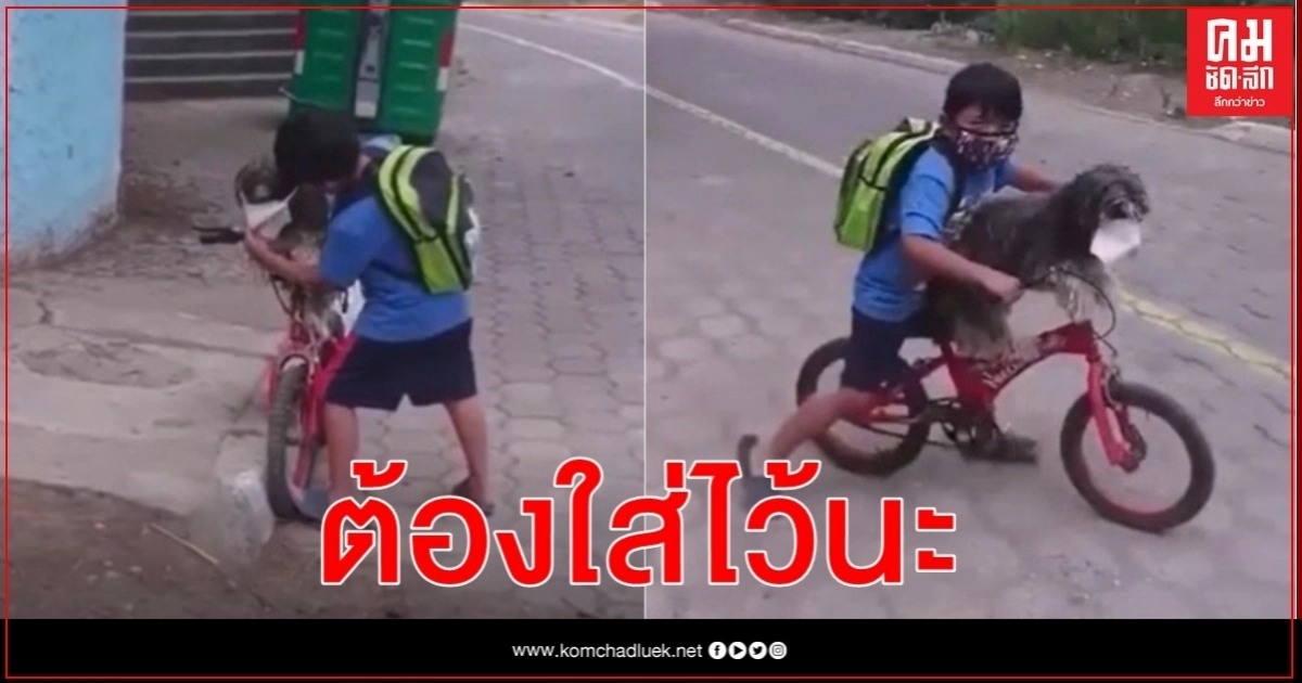 ชาวเน็ตเอ็นดู คลิปเด็กชายเอกวาดอร์ห่วงใยน้องหมาจับใส่แมสก์ ก่อนพากันไปขี่จักรยาน ชาวเน็ตเอ็นดู คลิปเด็กชายเอกวาดอร์ห่วงใยน้องหมาจับใส่แมสก์ ก่อนพากันไปขี่จักรยาน