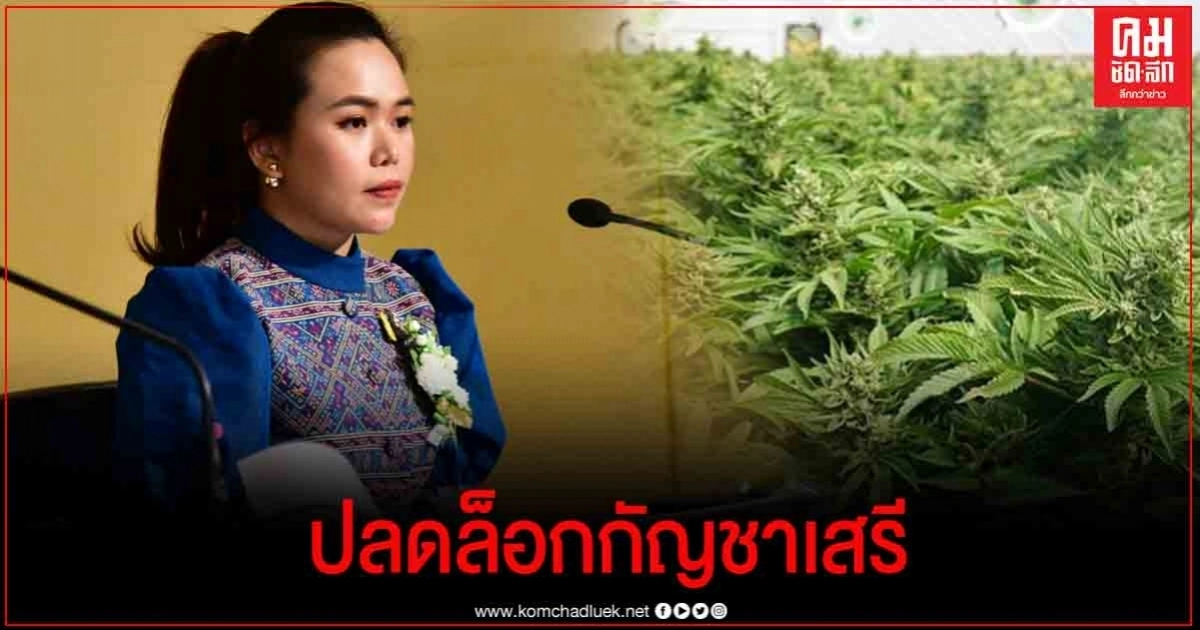 เดินหน้าปลดล็อกกัญชาเสรี เดินหน้าปลดล็อกกัญชาเสรี