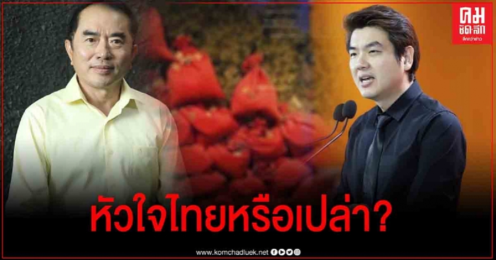 "หมอวรงค์" ถาม  "ปิยบุตร" หัวใจไทยหรือเปล่า 