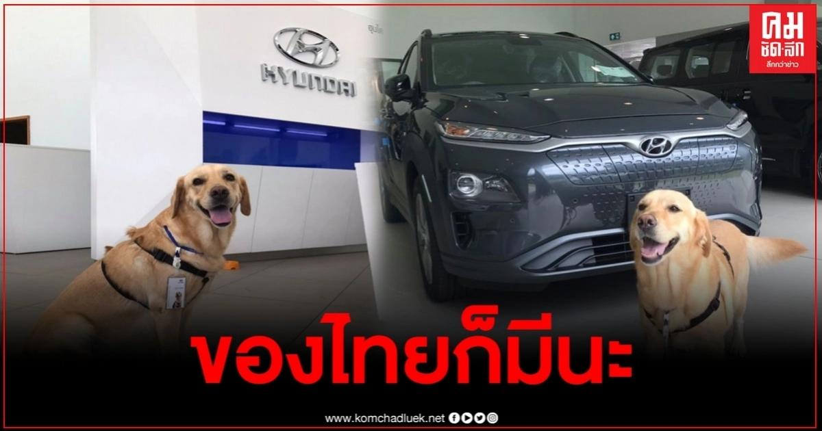 ของไทยก็มีนะ เจ้าตูบพนักงานพาร์ทไทม์ของศูนย์รถฮุนได