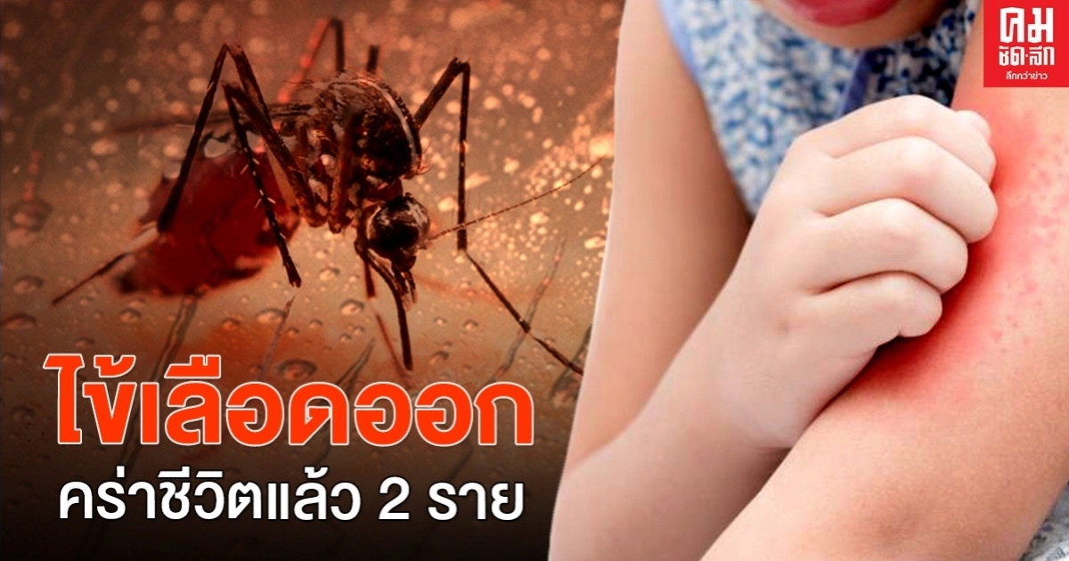 มหาสารคาม ไข้เลือดออกระบาดคร่าชีวิตแล้ว2ราย มหาสารคาม ไข้เลือดออกระบาดคร่าชีวิตแล้ว2ราย