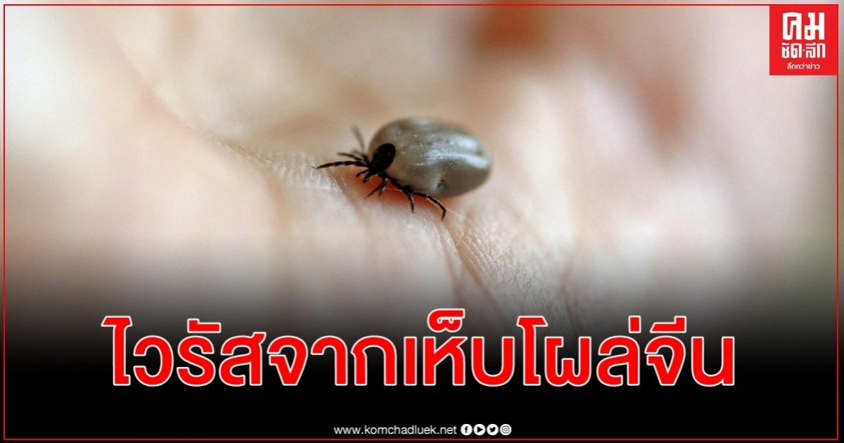 ไวรัสโรค SFTS ที่มีเห็บเป็นพาหะ คร่าชีวิตชาวจีน 9 ราย ติดเชื้อไม่ต่ำกว่า 60 ราย ไวรัสโรค SFTS ที่มีเห็บเป็นพาหะ คร่าชีวิตชาวจีน 9 ราย ติดเชื้อไม่ต่ำกว่า 60 ราย