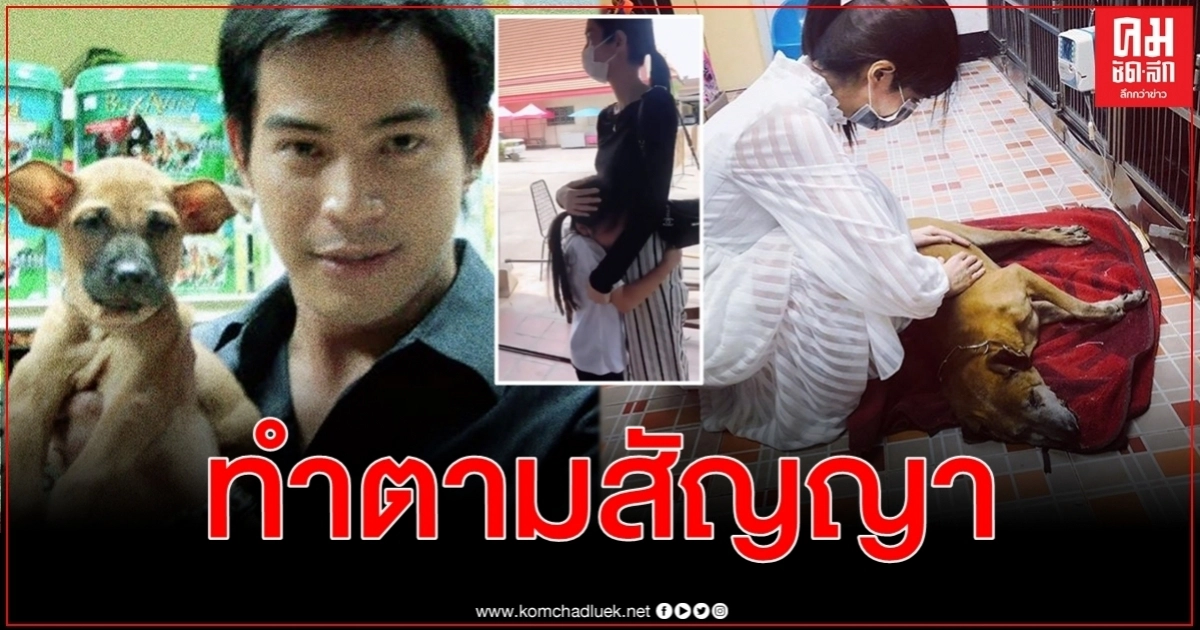 มะลิ ปล่อยโฮ โบว์ แวนด้า ทำตามสัญญา ปอ ทฤษฎี สั่งเสียจนลมหายใจสุดท้าย มะลิ ปล่อยโฮ โบว์ แวนด้า ทำตามสัญญา ปอ ทฤษฎี สั่งเสียจนลมหายใจสุดท้าย
