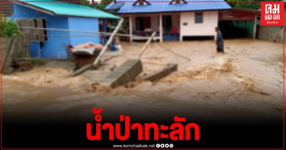 เชียงคำ น้ำป่าทะลัก 3 ตำบลจมน้ำ พื้นที่การเกษตรเสียหาย ถนน-สะพานขาด