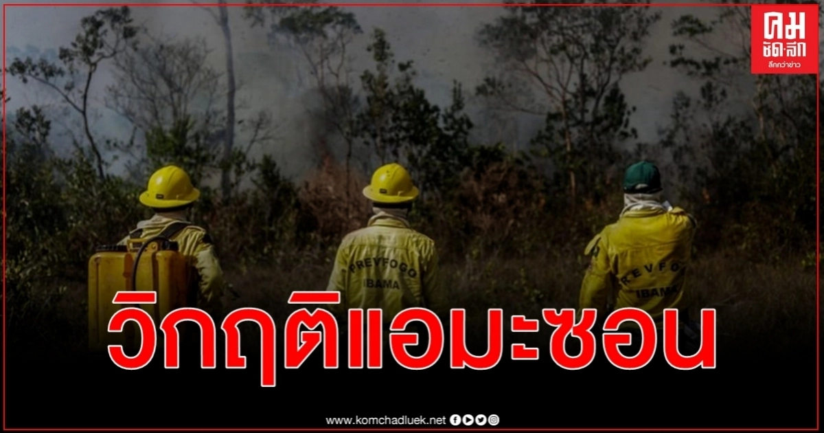 วิกฤติแอมะซอนตัดไม้บราซิลทำลายป่าพุ่งกว่า 30% ก.ค.เดือนเดียว 1,654 ตร.กม.