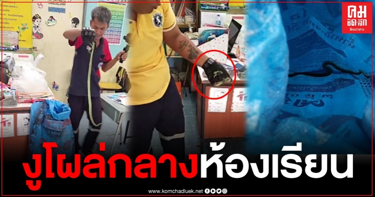 สุดอึ้งพบงู 4 ตัวโผล่กลางห้องเรียนเด็ก ป.5 