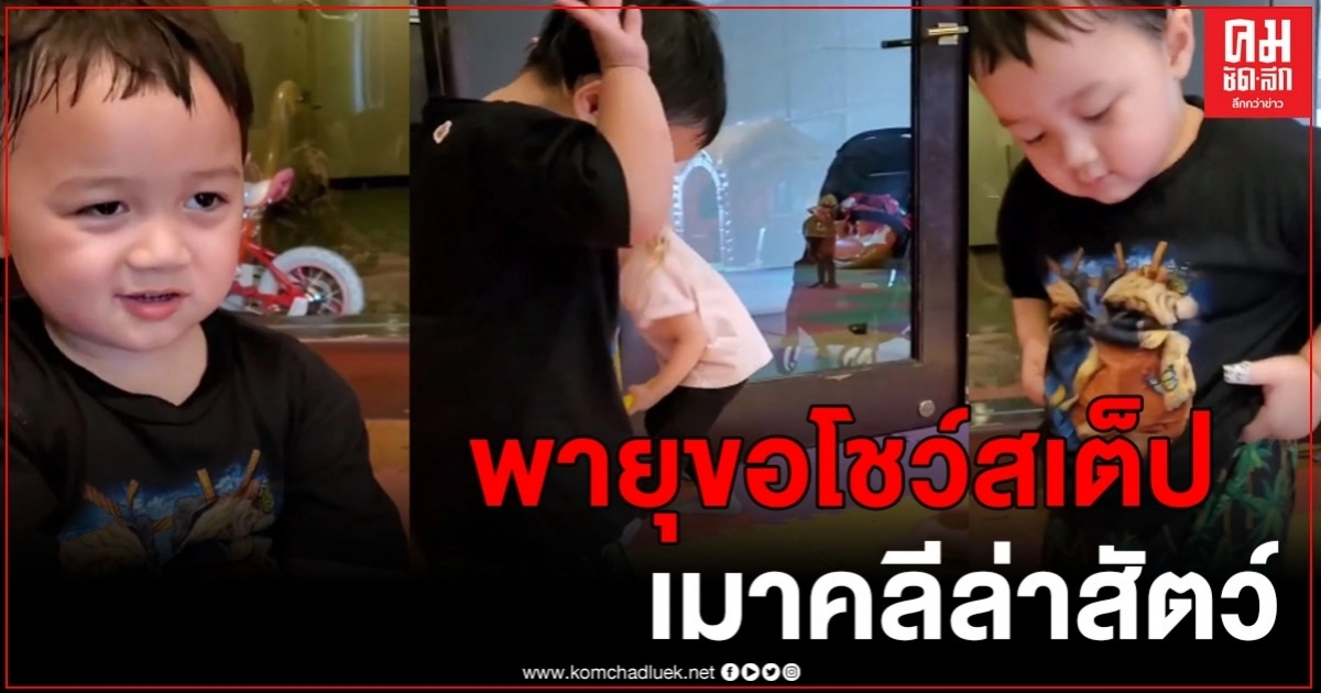 "พายุ" ขอโยกโชว์สเต็ป "เมาคลีล่าสัตว์" ใส่ท่าเต้นไม่ยั้ง บอกเลยว่าเฟียสจริงอะไรจริง "พายุ" ขอโยกโชว์สเต็ป "เมาคลีล่าสัตว์" ใส่ท่าเต้นไม่ยั้ง บอกเลยว่าเฟียสจริงอะไรจริง
