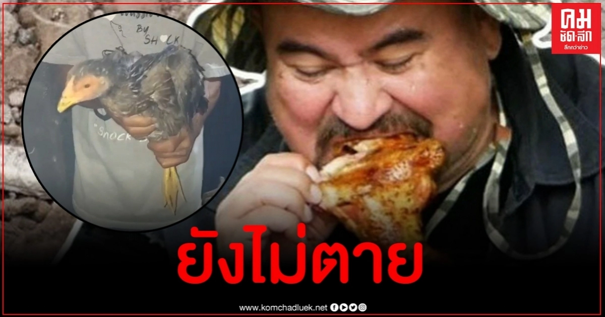 หม่อมถนัดแดก เปิดคลิปไก่ที่เอาไปฝังทำเมนูไก่หลุมยังไม่ตาย แค่จำลองเหตุการณ์ หม่อมถนัดแดก เปิดคลิปไก่ที่เอาไปฝังทำเมนูไก่หลุมยังไม่ตาย แค่จำลองเหตุการณ์
