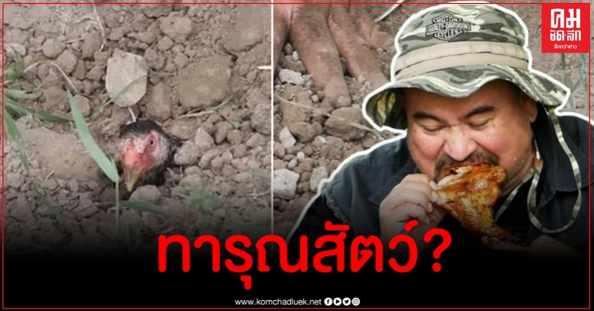 ไม่ทน วอชด็อกแจ้งความ 'หม่อมถนัดแดก' ปมเมนูไก่หลุมเข้าข่ายทารุณสัตว์ ไม่ทน วอชด็อกแจ้งความ 'หม่อมถนัดแดก' ปมเมนูไก่หลุมเข้าข่ายทารุณสัตว์