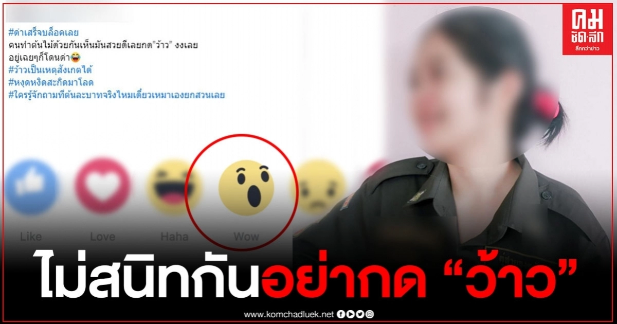 สาวกดว้าวโพสต์ขายต้นไม้ถึงกับมือสั่น โดนเจ้าของเฟซผู้ชายด่าหยาบ ชาวเน็ตจวกยับ ด่าผู้หญิงทำไมแรงขนาดนี้