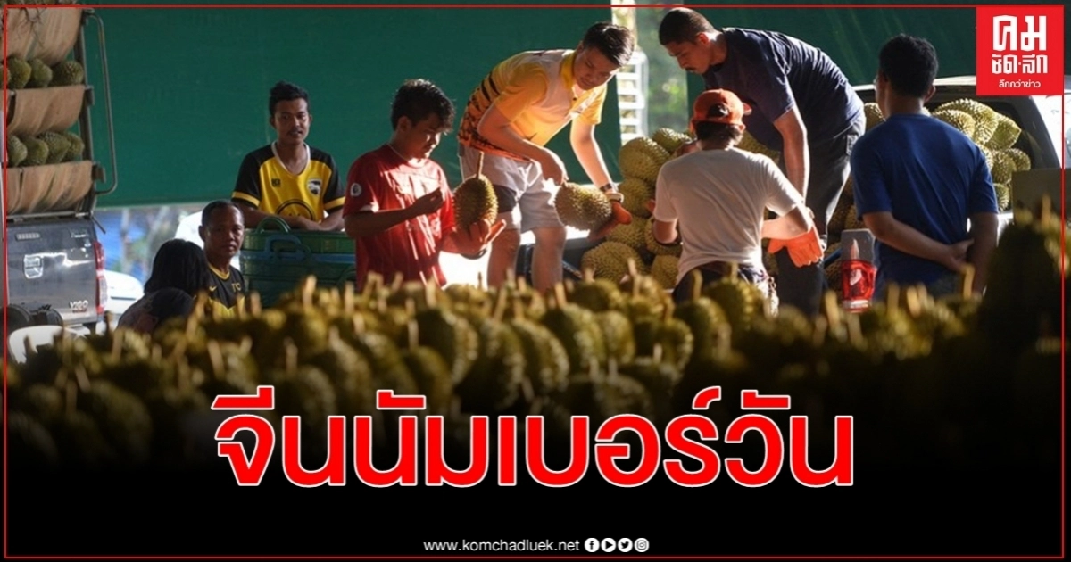 ไทยส่งออกทุเรียนไปจีนแผ่นดินใหญ่ครึ่งปีแรก 3.17 หมื่นล้านบาท